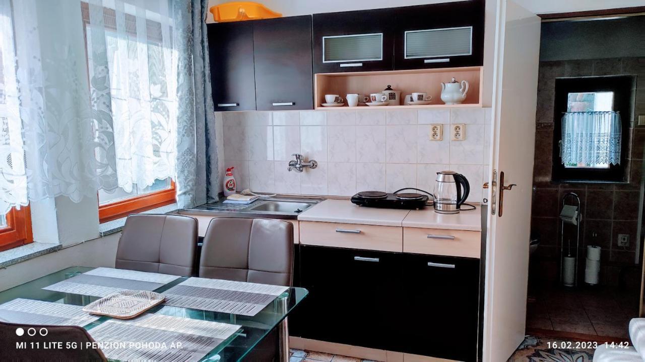 Penzion Pohoda - Apartmany 예세니크 외부 사진