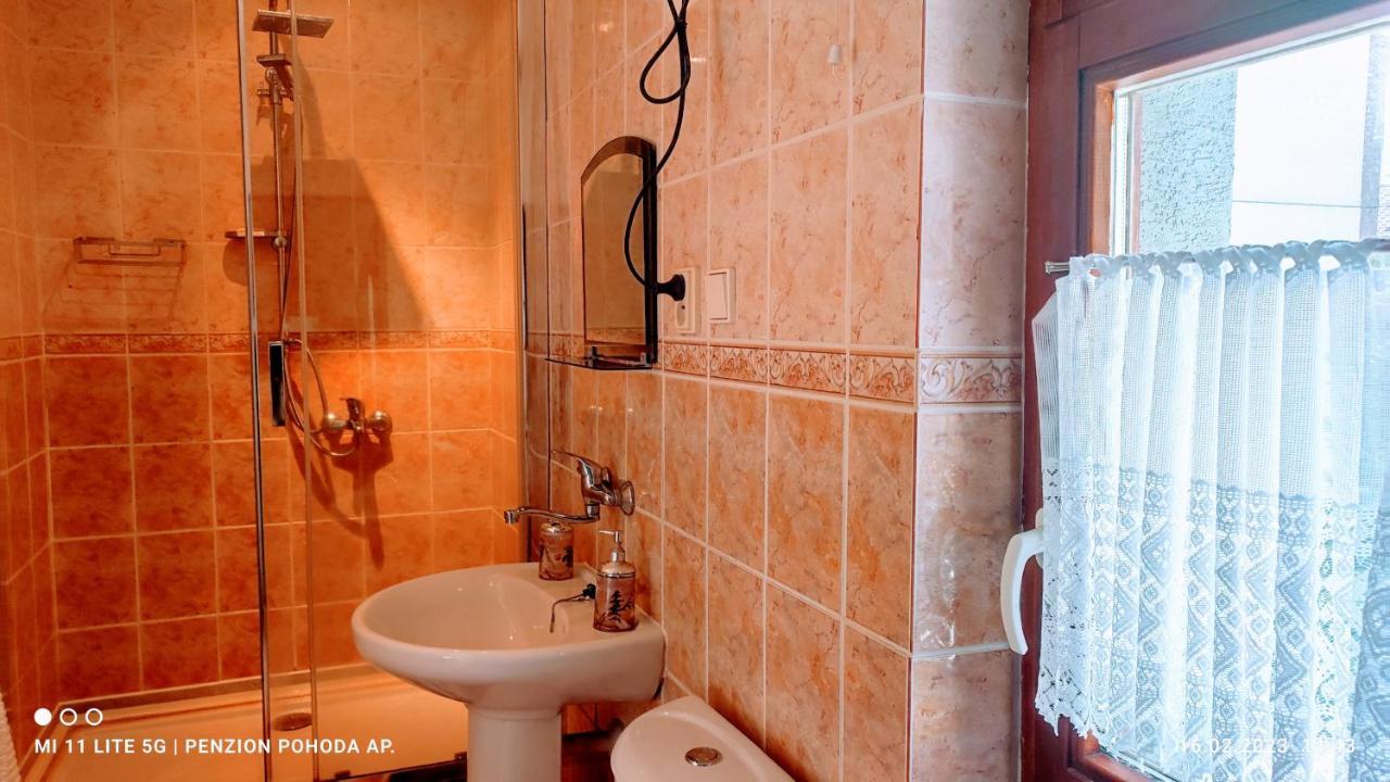 Penzion Pohoda - Apartmany 예세니크 외부 사진